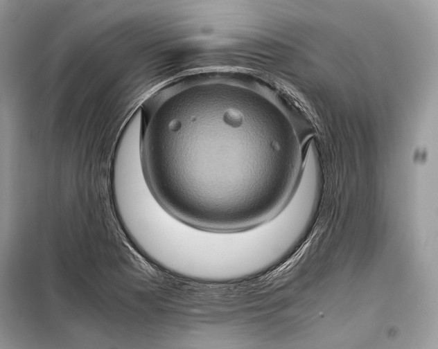 X0000099291177200805161318