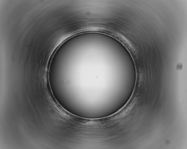 X0000099291178200805161318