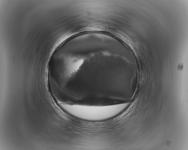 X0000099291179200805161318