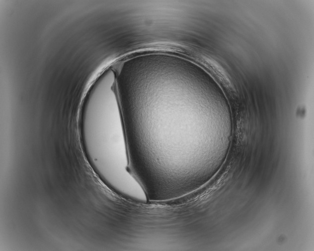 X0000099291180200805161318