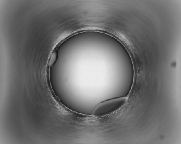 X0000099291181200805161318