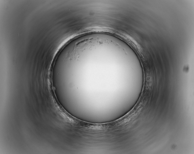 X0000099291182200805161318