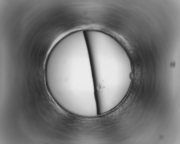 X0000099291184200805161318