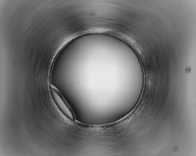 X0000099291186200805161318