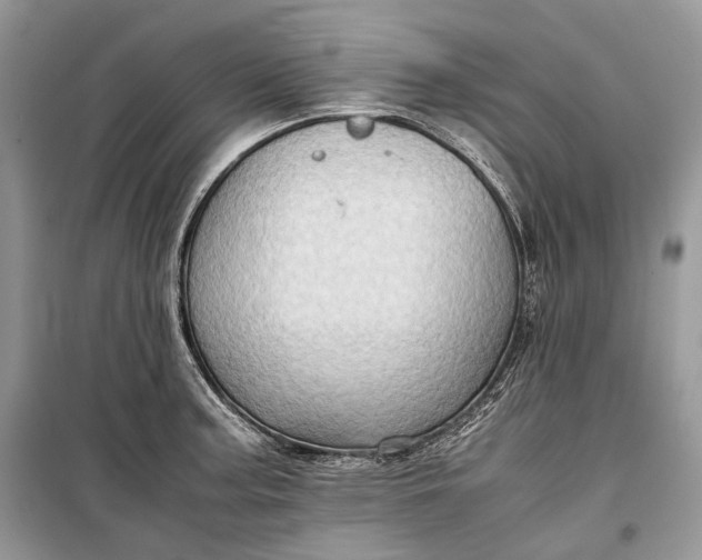 X0000099291187200805161318