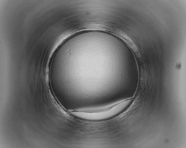 X0000099291188200805161318