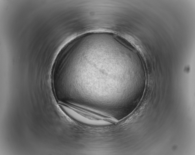 X0000099291189200805161318