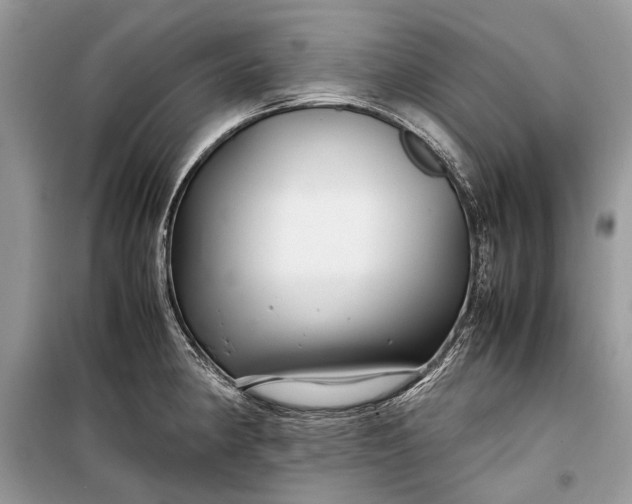 X0000099291190200805161318