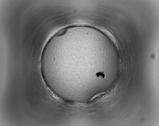 X0000099291191200805161318