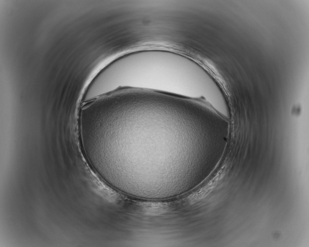 X0000099291192200805161318