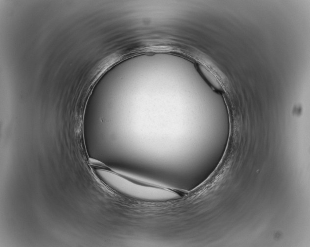 X0000099291193200805161318