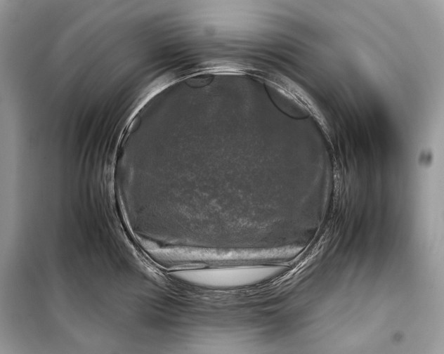 X0000099291194200805161318