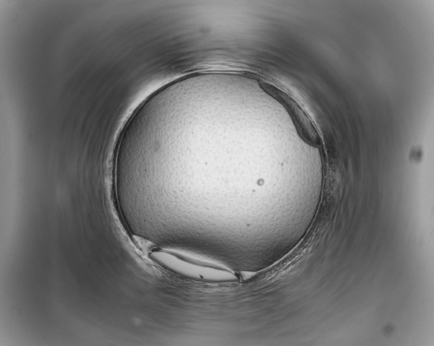 X0000099291195200805161318