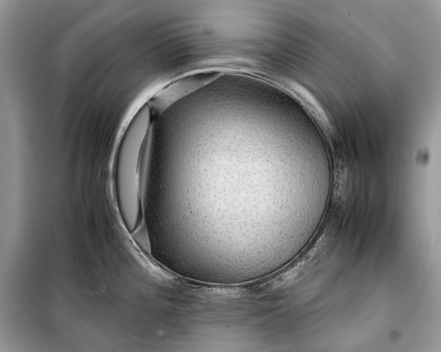 X0000099291196200805161318