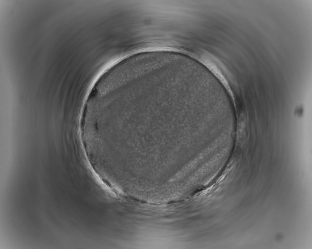 X0000099291197200805161318