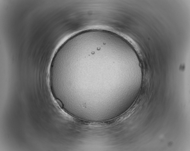 X0000099291199200805161318