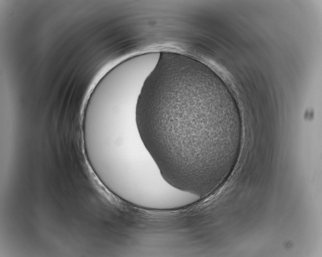 X0000099291200200805161318