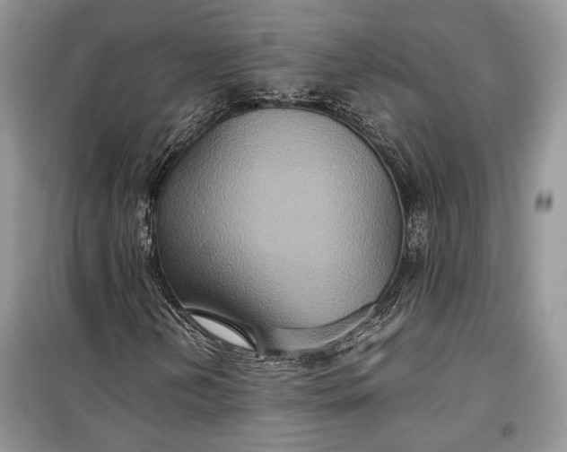 X0000099291202200805161317