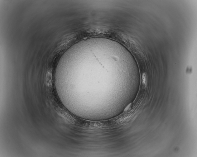 X0000099291203200805161317