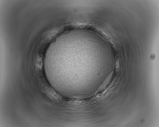 X0000099291204200805161317