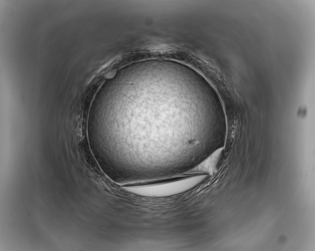 X0000099291205200805161317