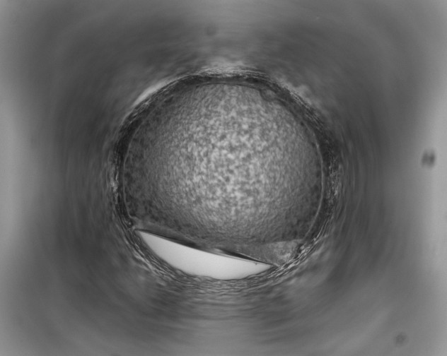 X0000099291206200805161317