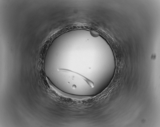 X0000099291207200805161317