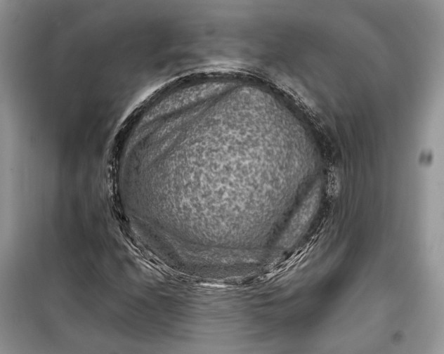 X0000099291208200805161317