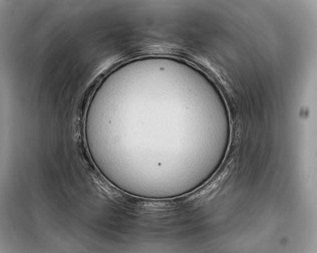 X0000099291211200805161317