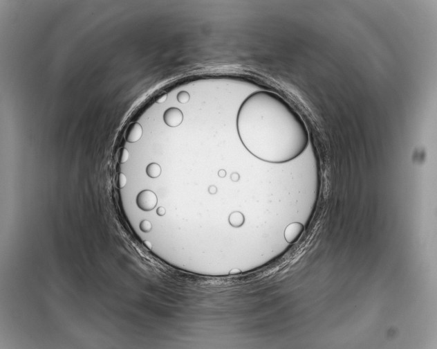 X0000099291212200805161317