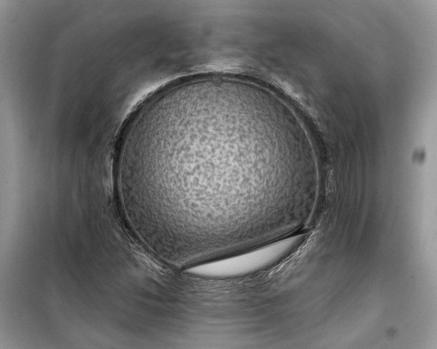 X0000099291214200805161317