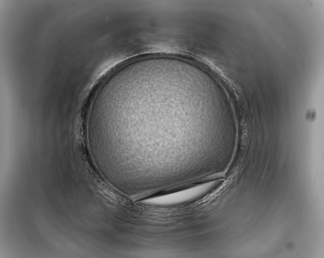 X0000099291215200805161317