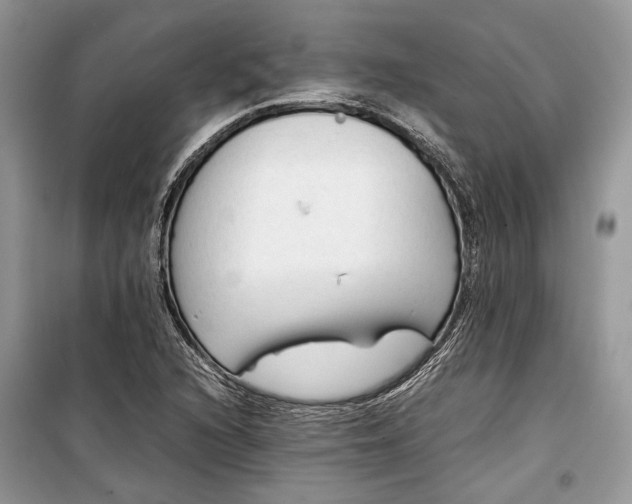 X0000099291216200805161317