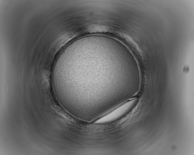 X0000099291217200805161317