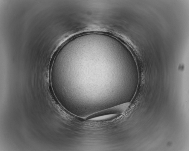 X0000099291220200805161317