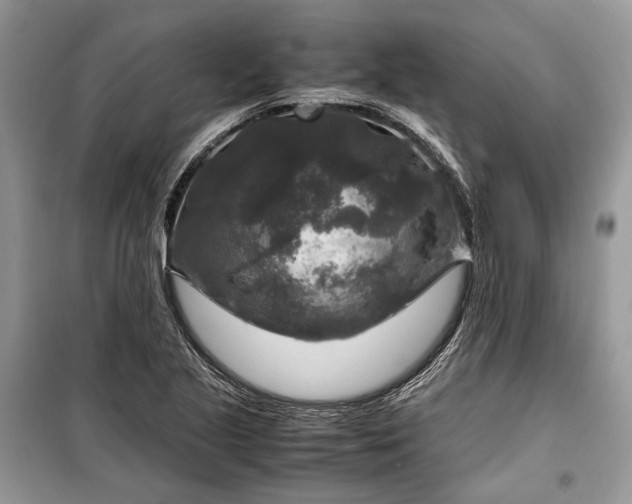 X0000099291221200805161317