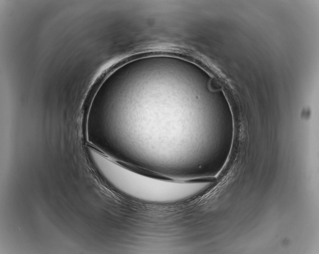 X0000099291222200805161317