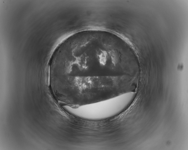 X0000099291223200805161317