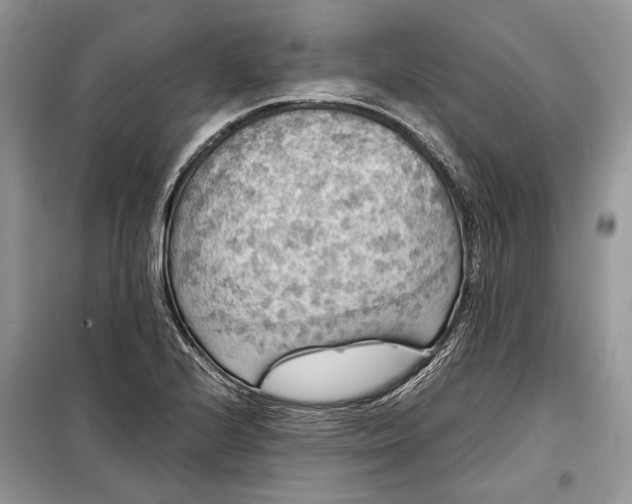 X0000099291224200805161317