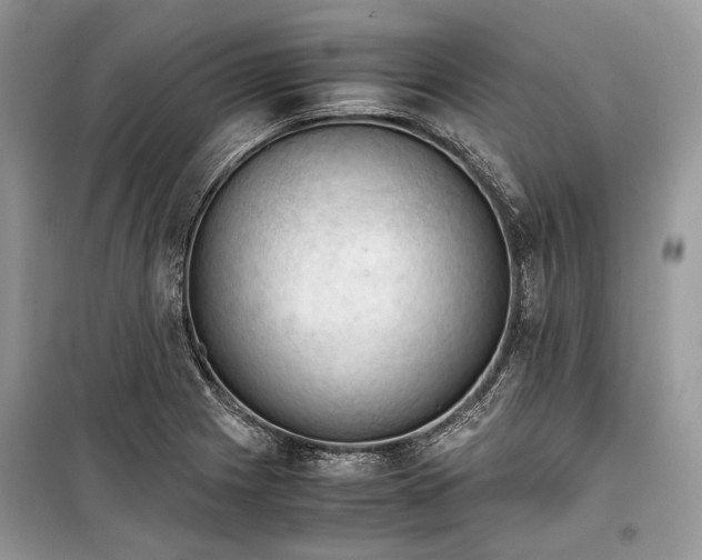 X0000099291225200805161317