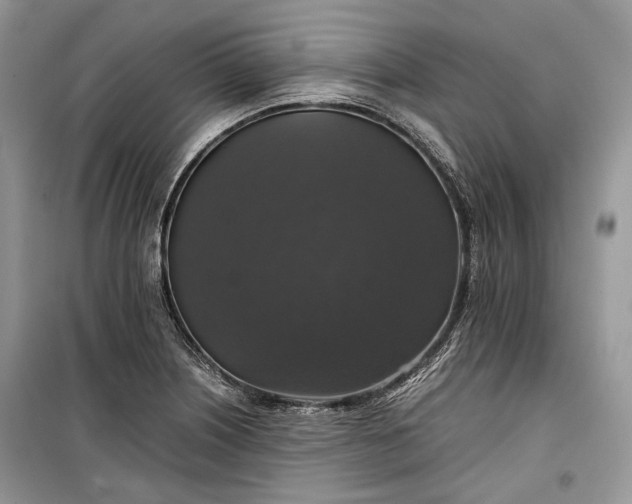 X0000099291226200805161317