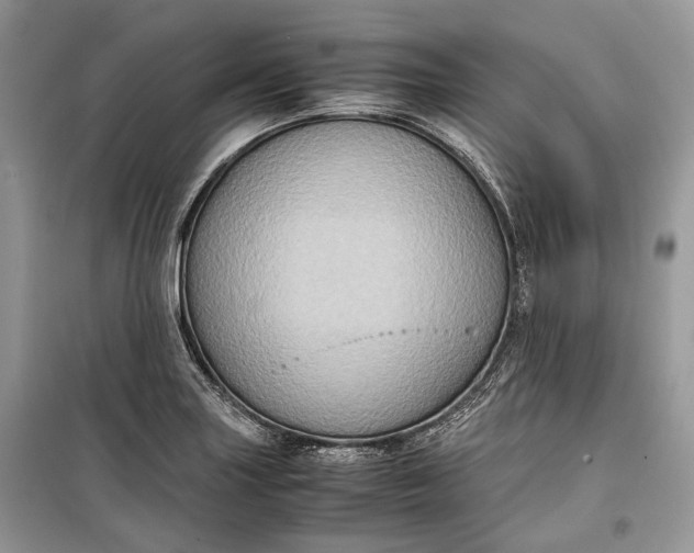 X0000099291227200805161317