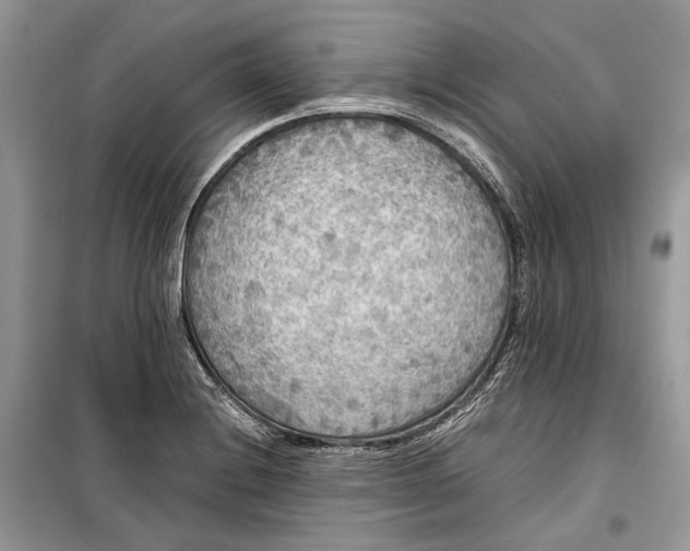 X0000099291228200805161317