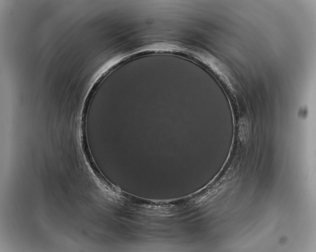 X0000099291229200805161317