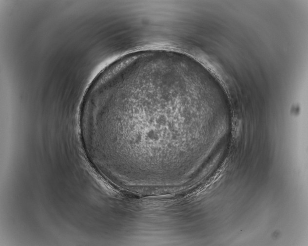 X0000099291230200805161317