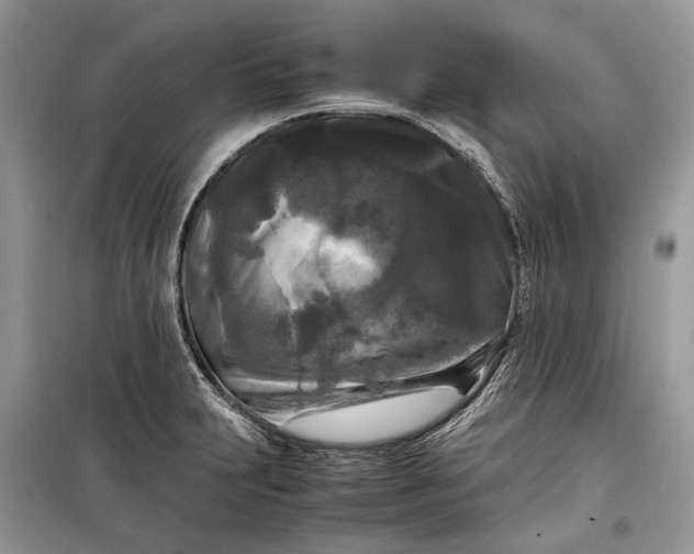 X0000099291231200805161317