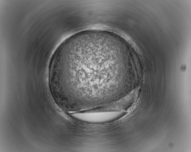 X0000099291232200805161317