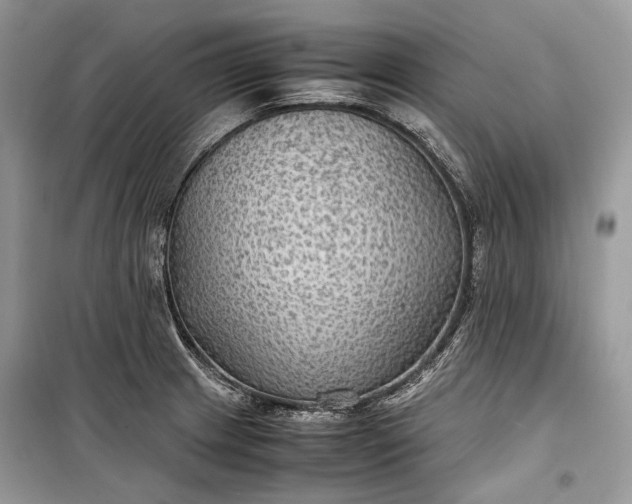 X0000099291233200805161317