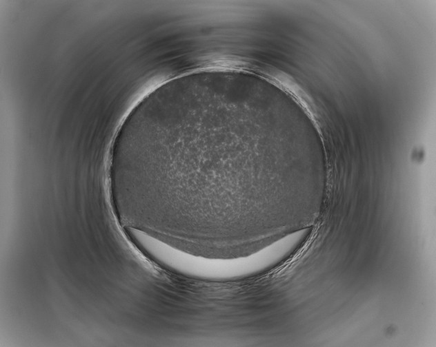 X0000099291235200805161317