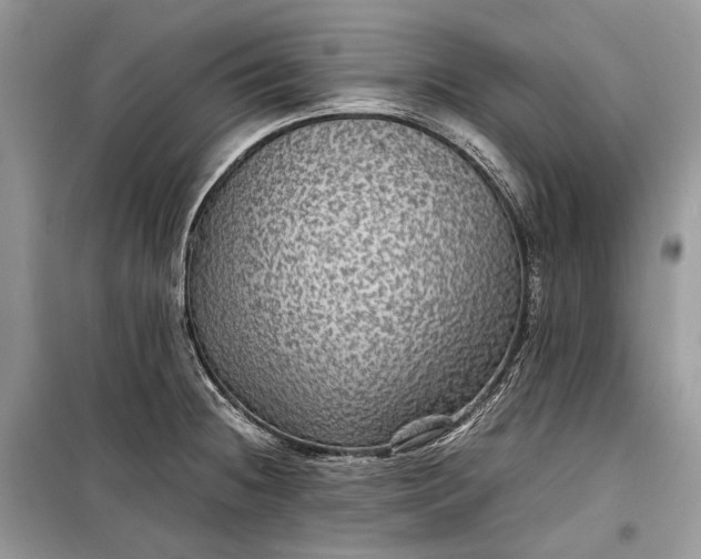 X0000099291236200805161317